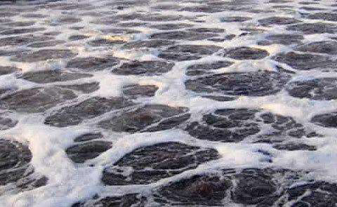 抄紙白水消泡劑應用場景 抄紙白水消泡劑應用場景